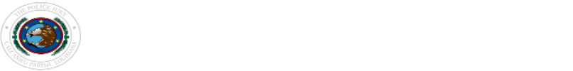 Banner logo with link to homepage